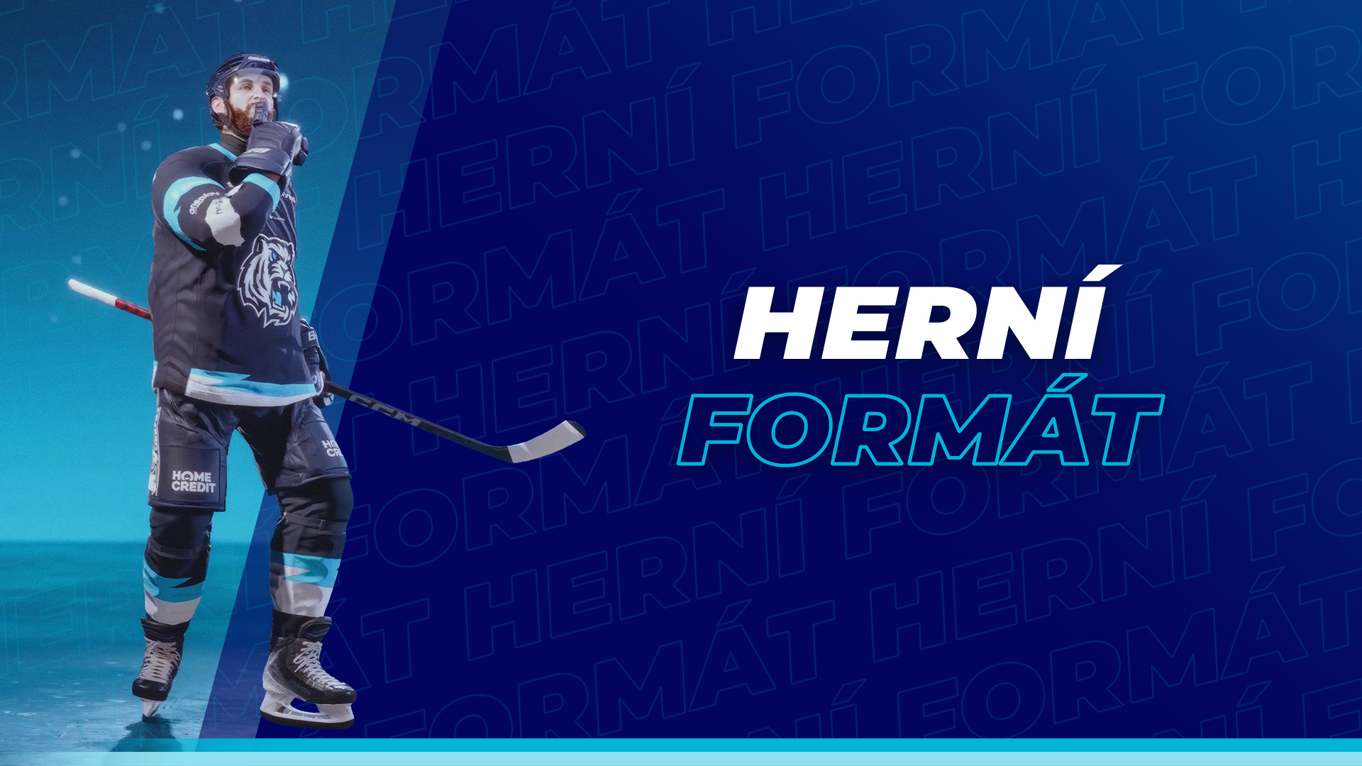 Formát soutěže Esport hokejové ligy 2026/2027